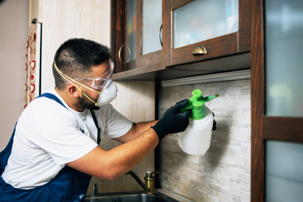 Best Pest Control Near Me  in Marshall, VA