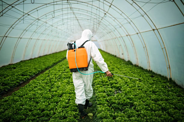 Best Local Pest Control Services  in Marshall, VA