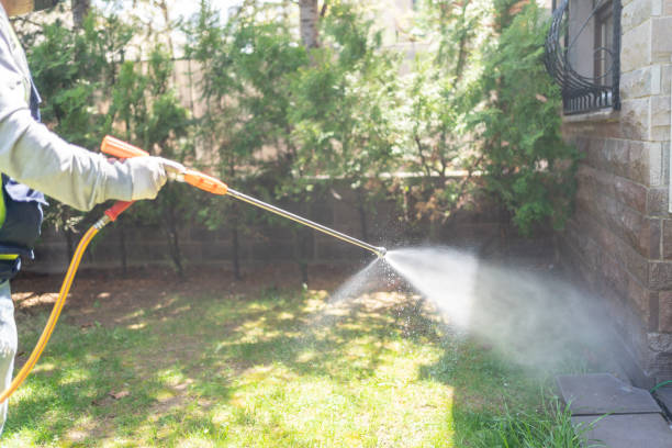 Best Spider Control Near Me  in Marshall, VA