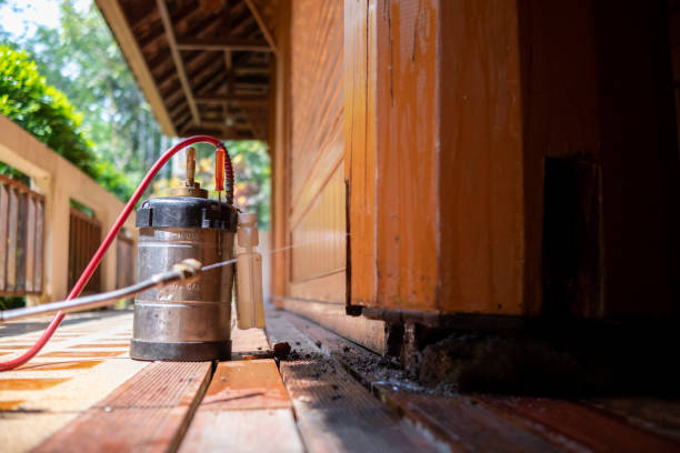 Best Best Pest Control Companies  in Marshall, VA