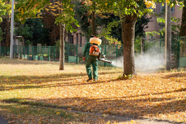 Bird Control in Marshall, VA