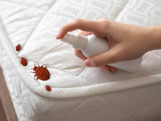 Best Affordable Pest Control Services  in Marshall, VA