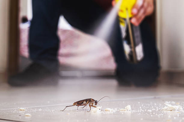 Best Mosquito Control Services  in Marshall, VA