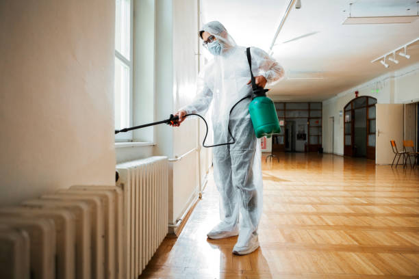 Best Termite Control Services  in Marshall, VA