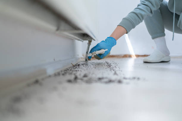 Best Wildlife Control Services  in Marshall, VA