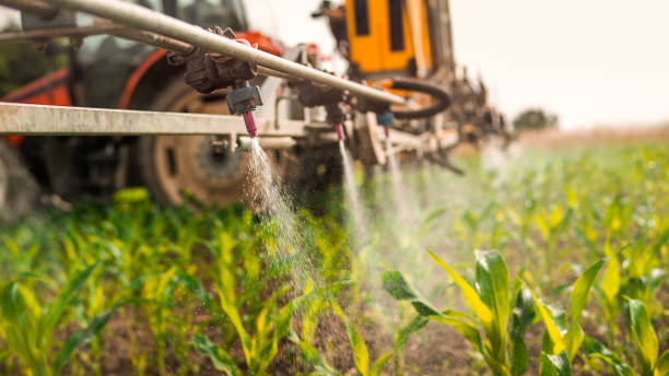 Best Ant Control Services  in Marshall, VA