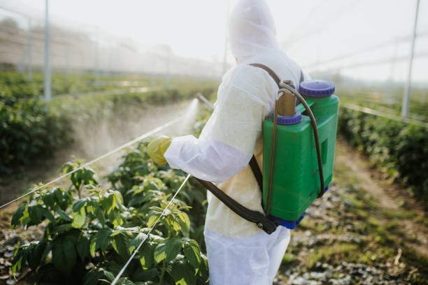 Best Pest Prevention Services  in Marshall, VA